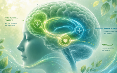 How trauma affects the brain and how EMDR therapy supports recovery